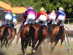 Bioveta was a partner of the Grand Pardubice Steeplechase 2020