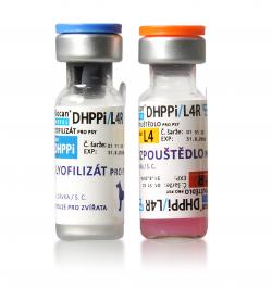 dhppi vaccine cost