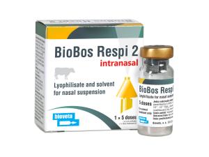BioBos Respi 2 intranasal – new vaccine against viral infections in calves