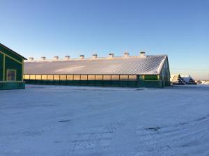 Training on Cow Breeding in the Russian Federation