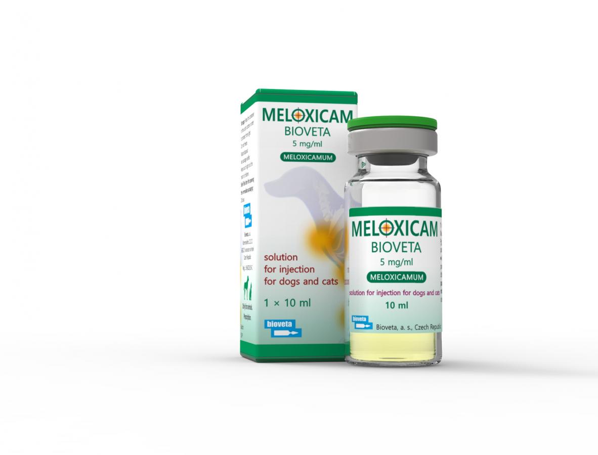 MELOXICAM Bioveta 5 mg/ml solution for injection for dogs and cats