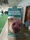 Bioveta at the Effective Pig Breeding Congress
