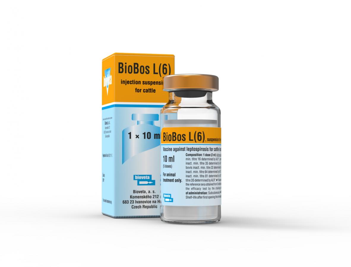 BioBos L(6), suspension for injection