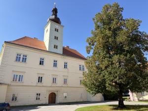 Bioveta to Transform a Dilapidated Castle into a Multicultural Center