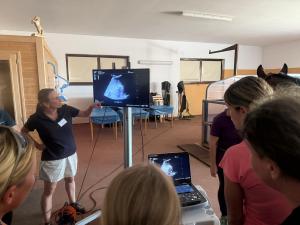 Bioveta Sponsors the Course "Basics of Ultrasound in Horses in Field Practice"